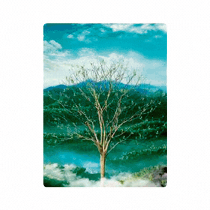 Cuadro Lenticular 3D Estaciones del año