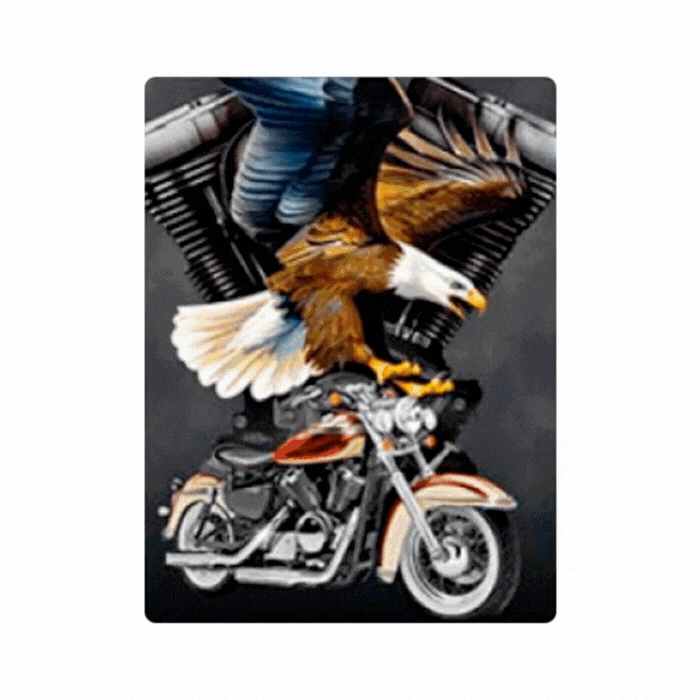 Cuadro Lenticular 3D Águilas Motos Clásicas