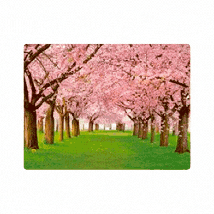 Cuadro Lenticular 3D Bellos Paisajes de Otoño