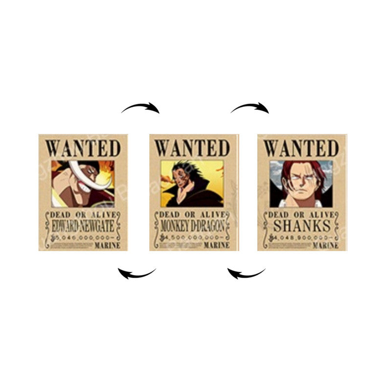 One Piece Edward Newgate Monkey D-Dragon Shanks Cuadro 3D