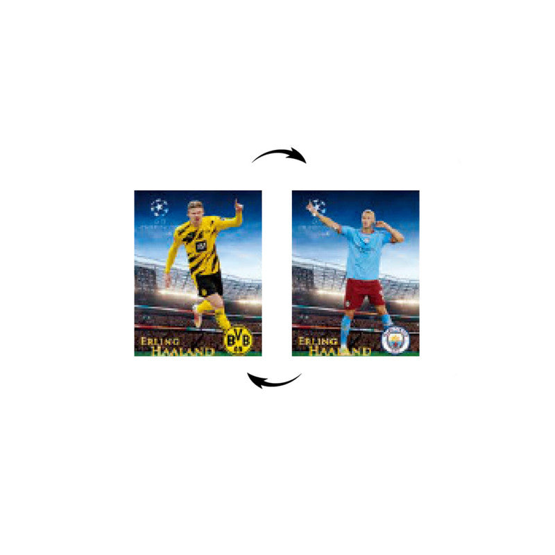 Erling Haaland Borussia Dormund Manchester City Cuadro 3D