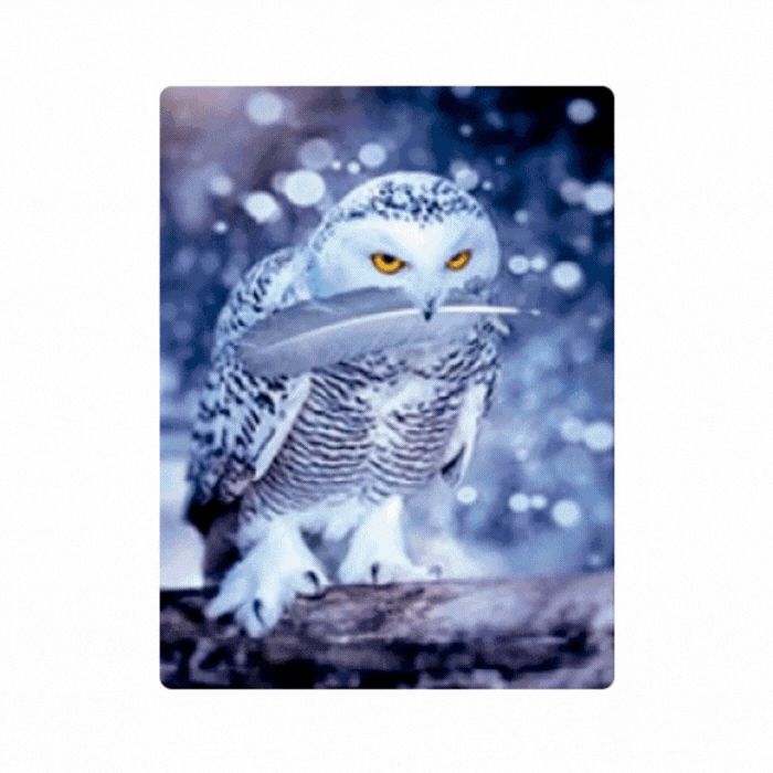 Cuadro Lenticular 3D Búhos en Invierno