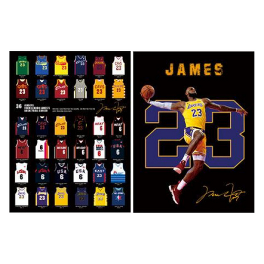 Cuadro Lenticular 3D Lebron James