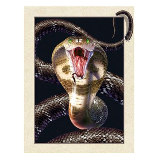 Cuadro Lenticular 3D Cobra