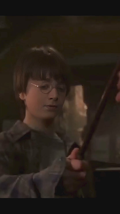 Cartel Decorativo Lenticular 3D Harry Potter | Daily Prophet