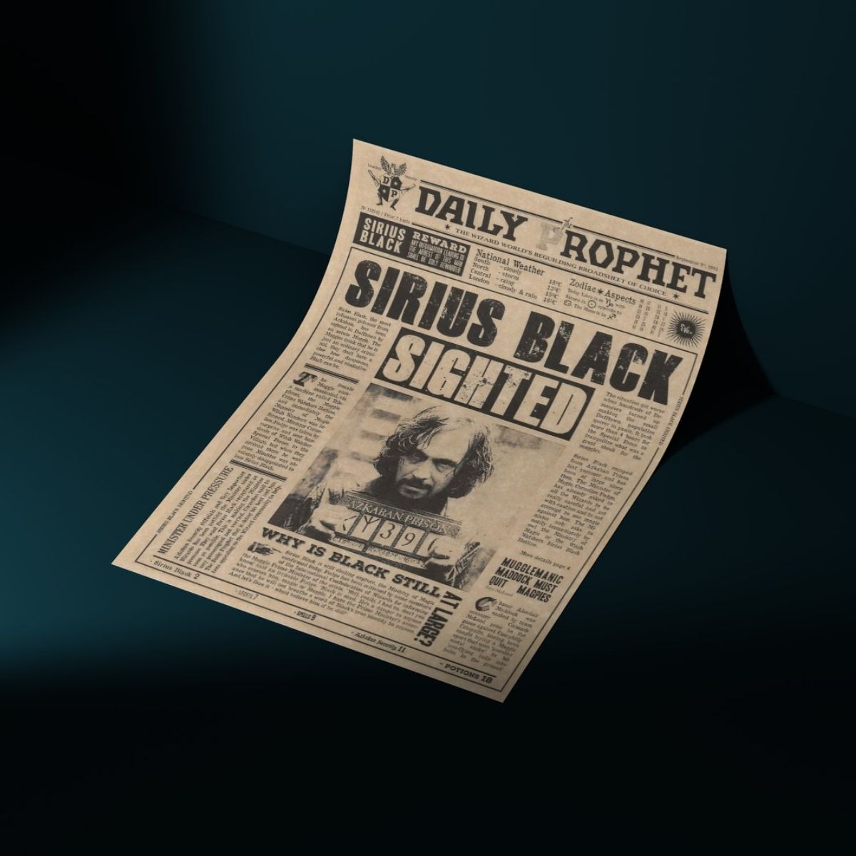 Cartel Decorativo Lenticular 3D Harry Potter | Daily Prophet