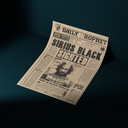 Cartel Decorativo Lenticular 3D Harry Potter | Daily Prophet